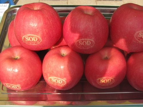 产品展示 - sod苹果 - 临猗县晋杰果品种植专业合作社