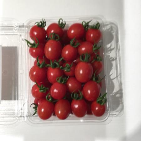 [供]釜山88种子供应及果品批发 - 农产品信息网